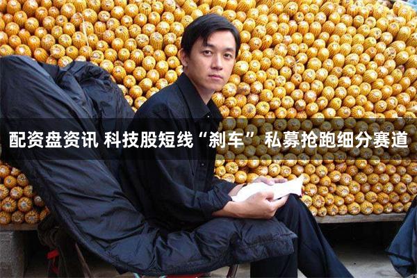 配资盘资讯 科技股短线“刹车” 私募抢跑细分赛道