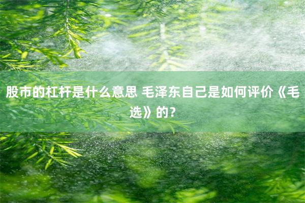 股市的杠杆是什么意思 毛泽东自己是如何评价《毛选》的？