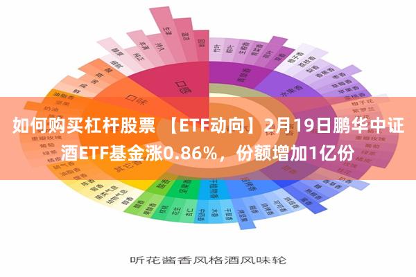 如何购买杠杆股票 【ETF动向】2月19日鹏华中证酒ETF基金涨0.86%，份额增加1亿份