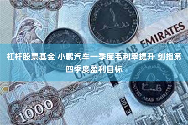 杠杆股票基金 小鹏汽车一季度毛利率提升 剑指第四季度盈利目标